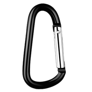 Carabiner Keychain